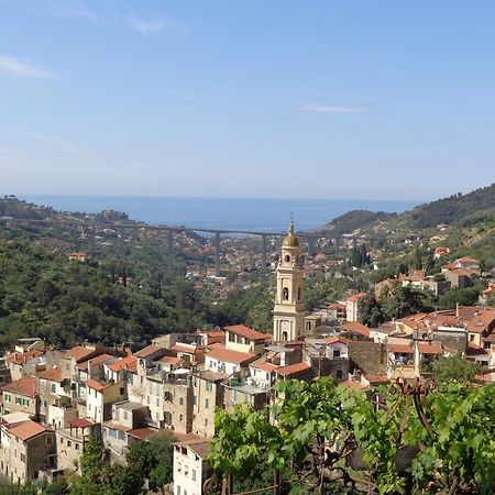 Agriturismo Turlin Vallebona 외부 사진
