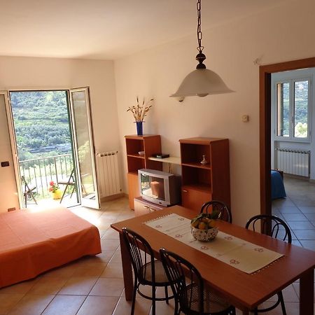 Agriturismo Turlin Vallebona 외부 사진