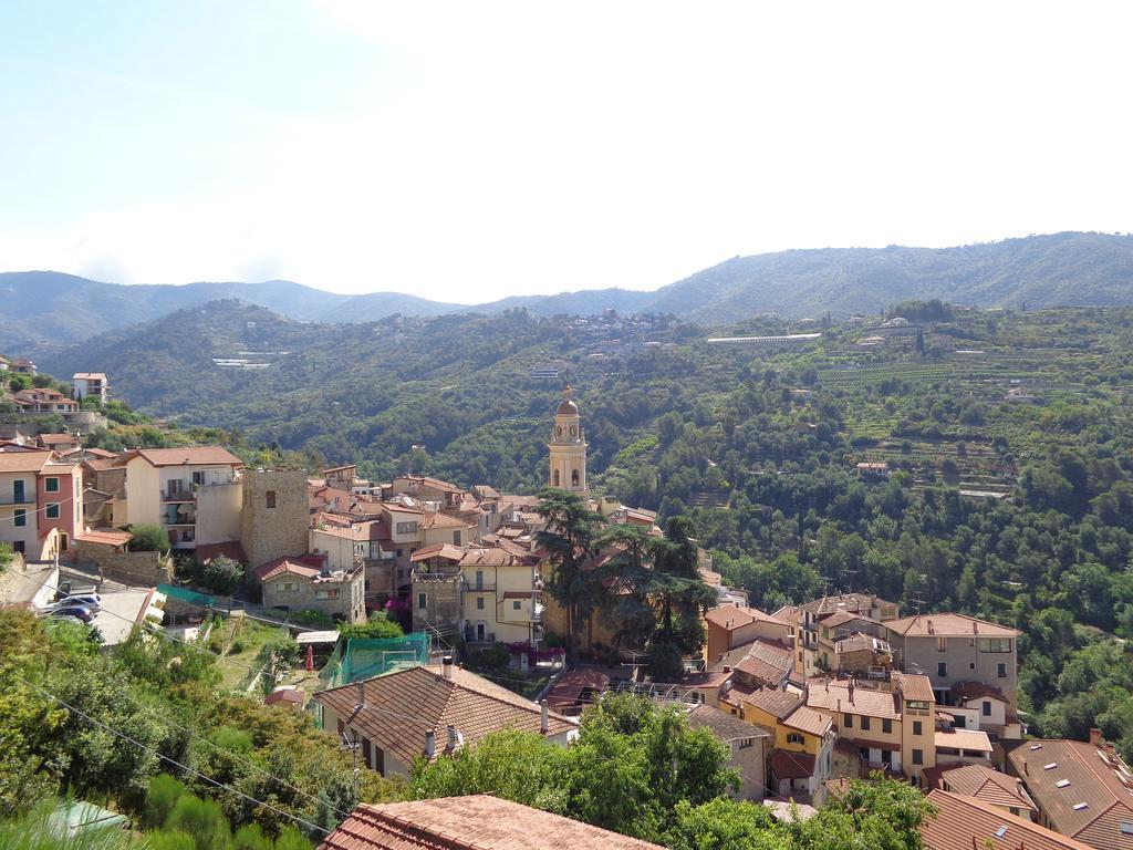 Agriturismo Turlin Vallebona 외부 사진