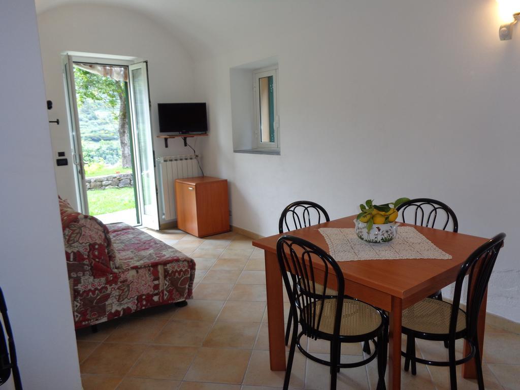 Agriturismo Turlin Vallebona 외부 사진