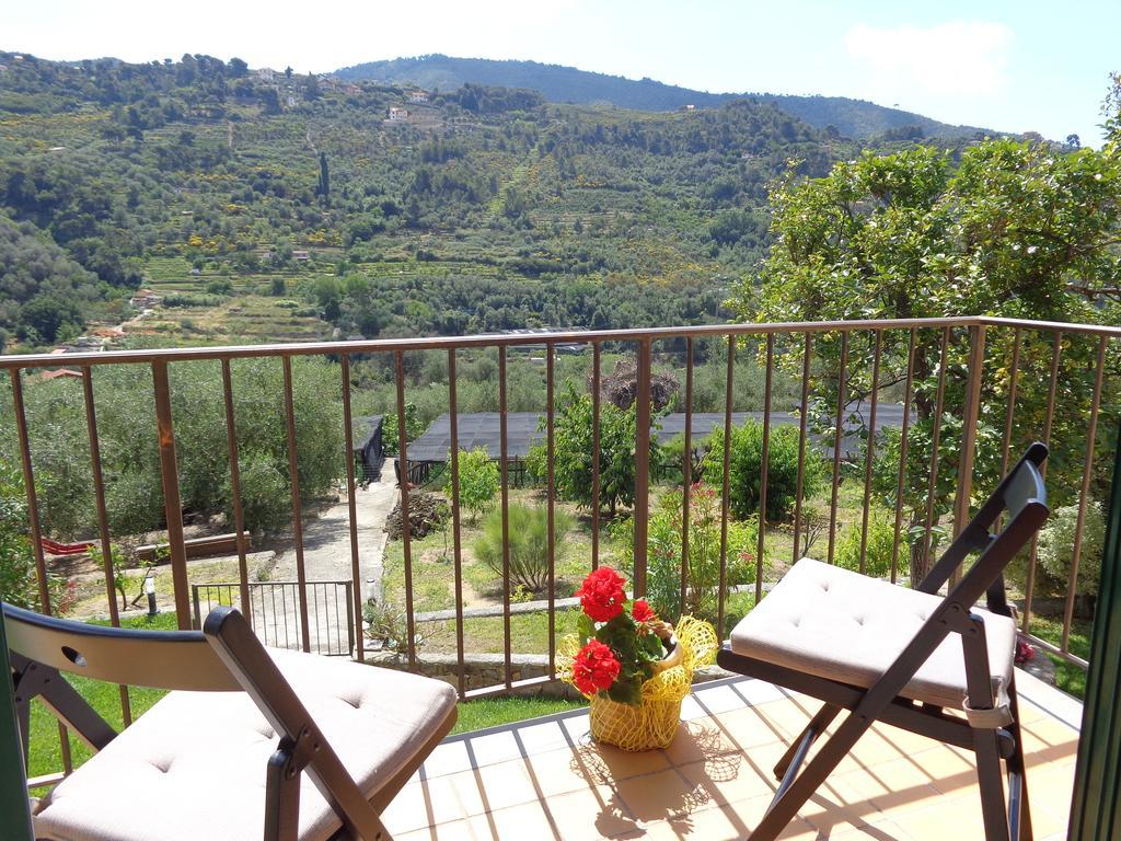 Agriturismo Turlin Vallebona 외부 사진
