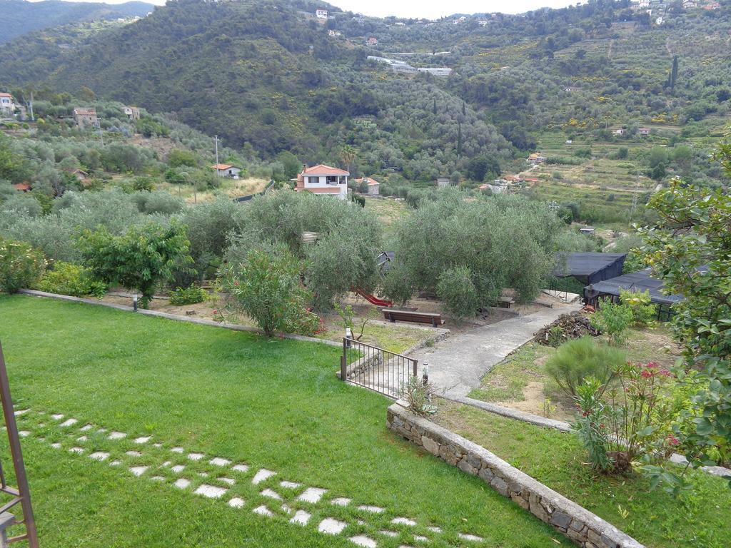 Agriturismo Turlin Vallebona 외부 사진