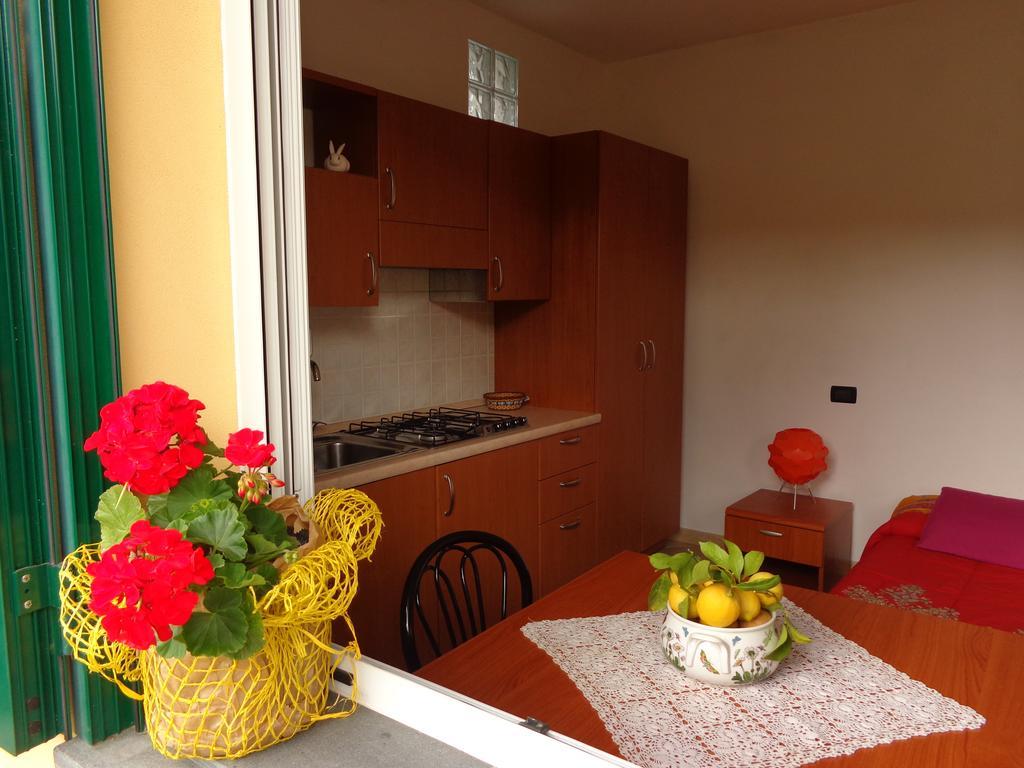 Agriturismo Turlin Vallebona 외부 사진