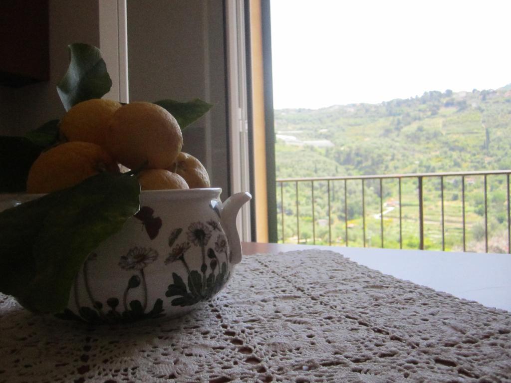 Agriturismo Turlin Vallebona 외부 사진