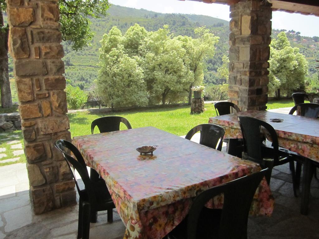 Agriturismo Turlin Vallebona 외부 사진