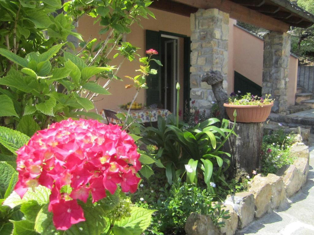 Agriturismo Turlin Vallebona 외부 사진