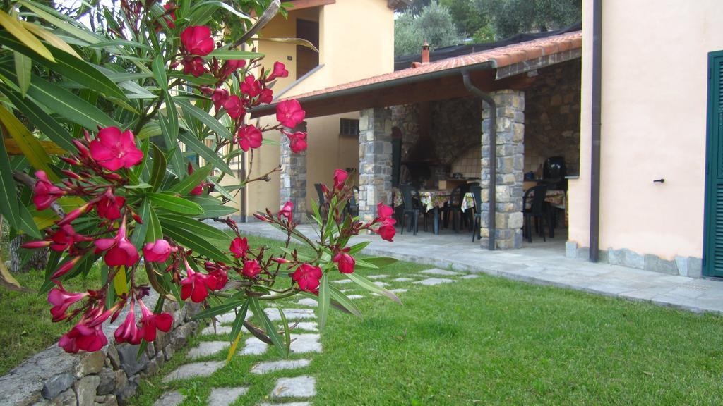 Agriturismo Turlin Vallebona 외부 사진